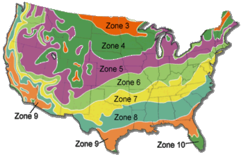zonemap