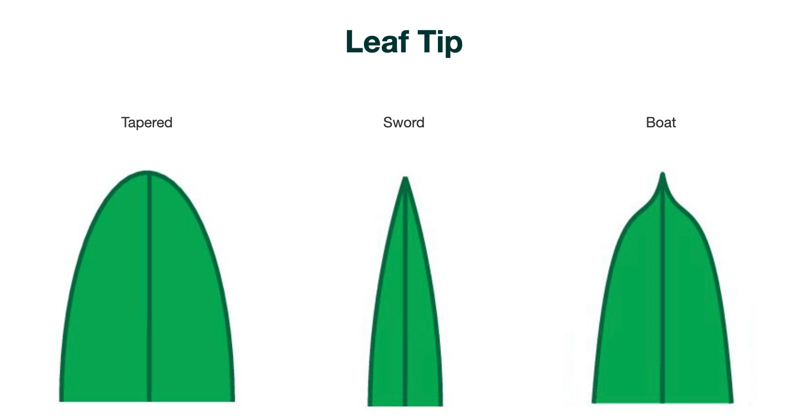 Search By Appearance WeedAlert