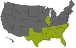 map33