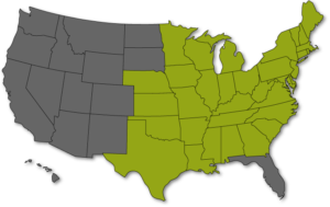 map35