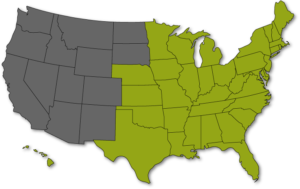 map37