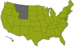 map81